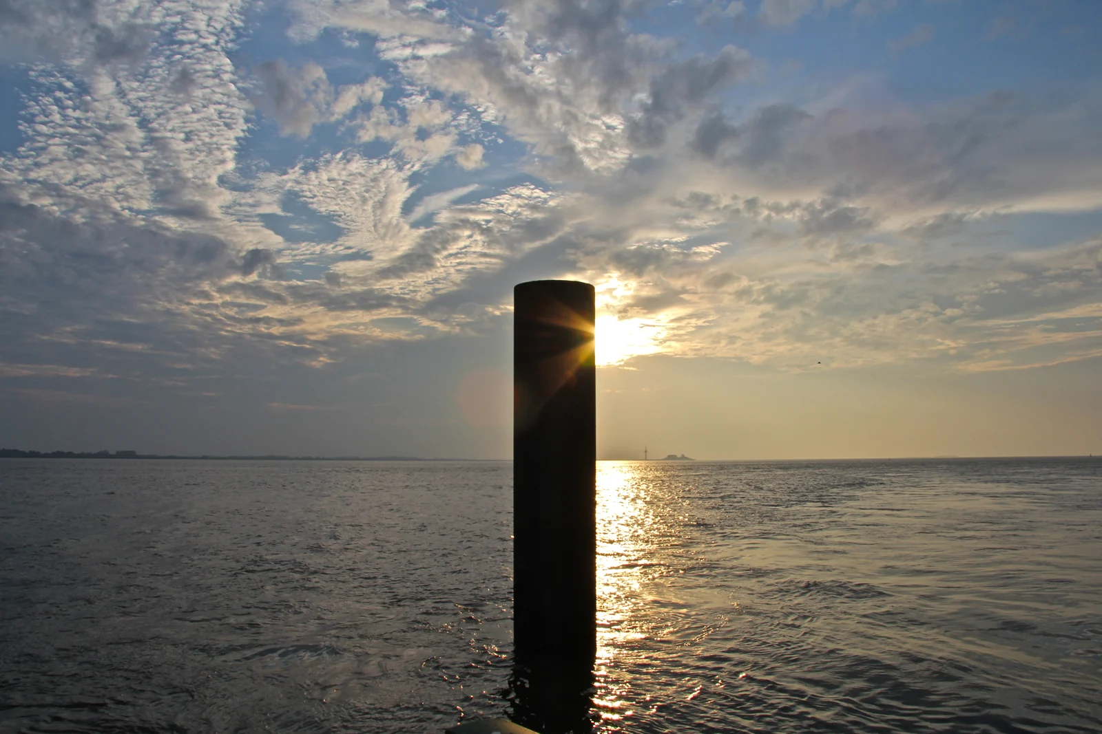 Dalbe im Gegenlicht vor Sonnenuntergang über Wasser